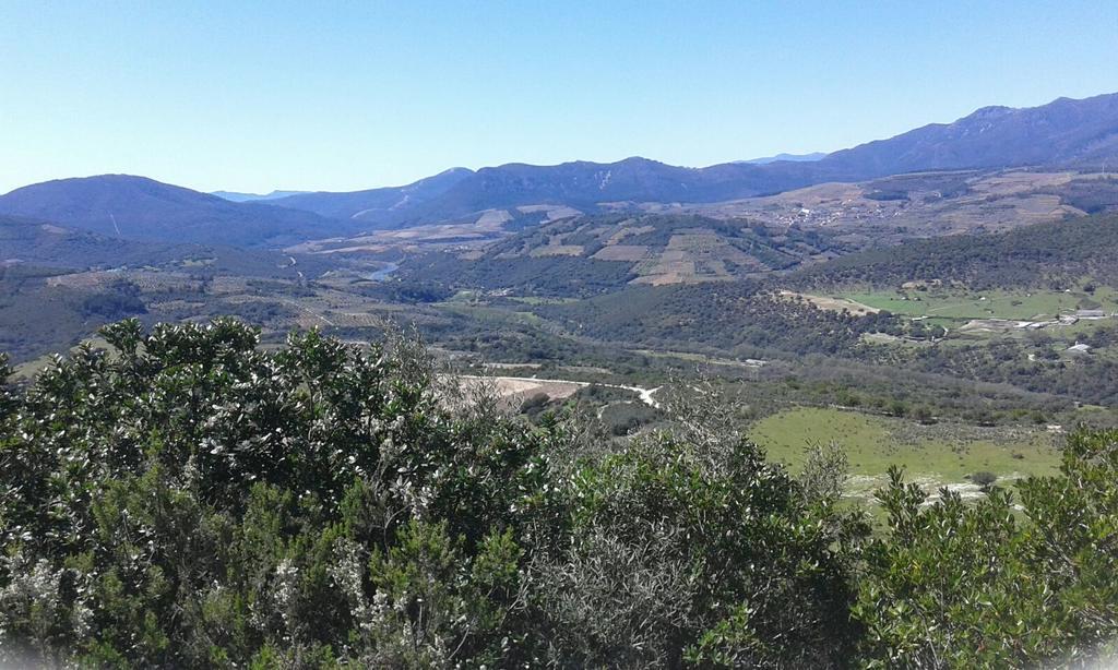 Hotel Rural Sierra De Francia Sotoserrano ภายนอก รูปภาพ