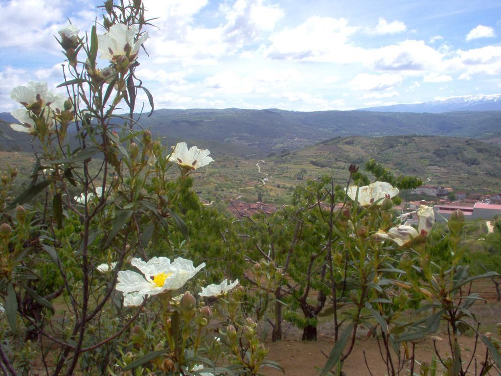 Hotel Rural Sierra De Francia Sotoserrano ภายนอก รูปภาพ